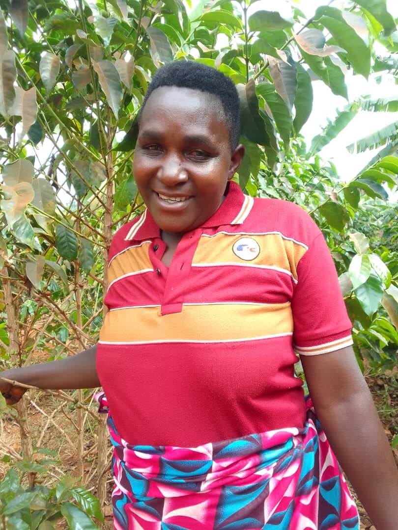 Case study: Consolate’s story